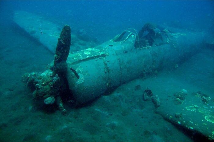 Crashed Plane Underwater At Pearl Harbor