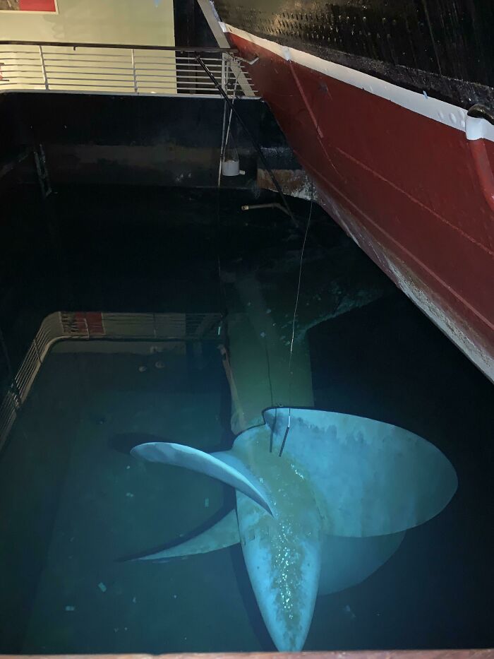 The Queen Mary’s Submerged Propellor Is Terrifying. I Was So Unsettled After Taking This Picture I Nearly Ran Upstairs