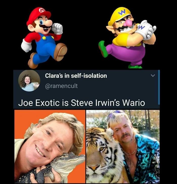 Steve Irwin’s Wario