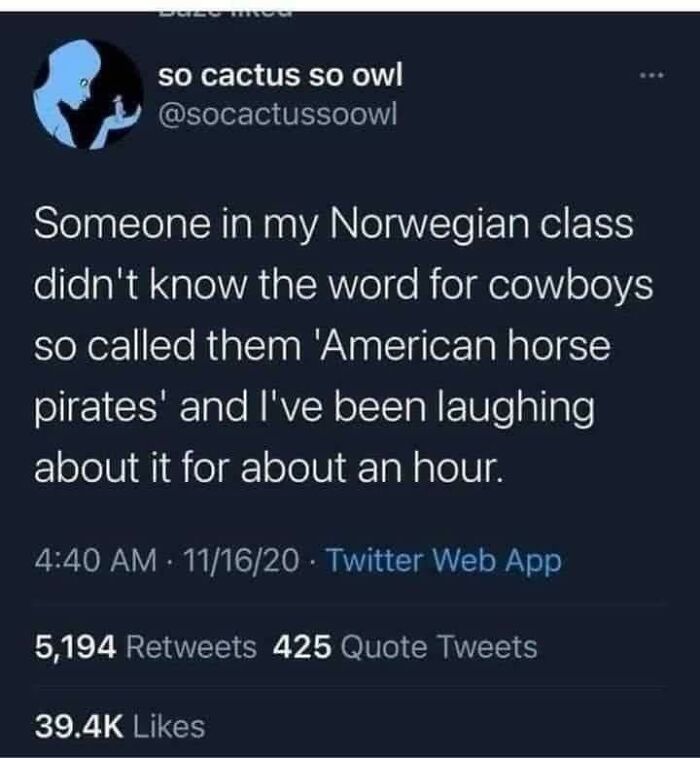 American Horse Pirates
