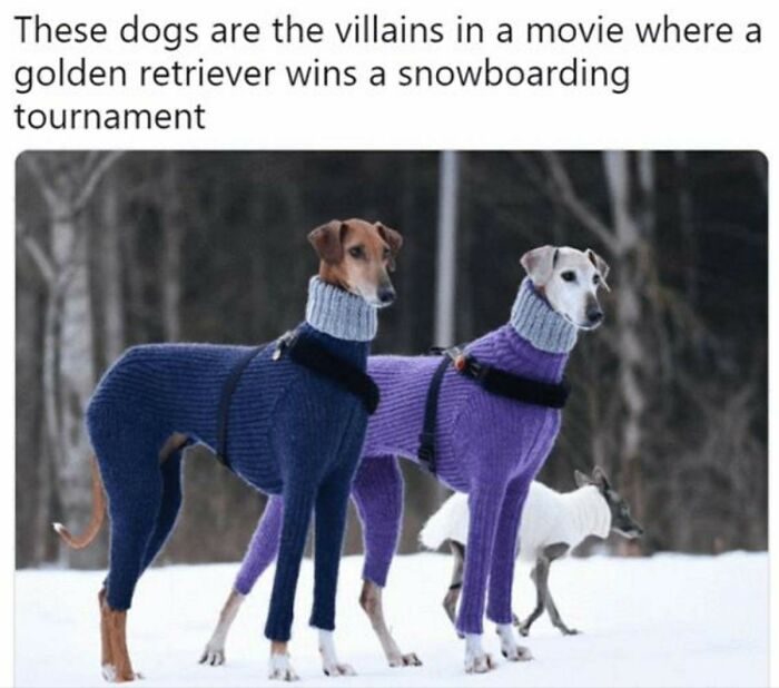 Dog Villains