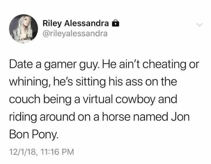 Virtual Cowboy