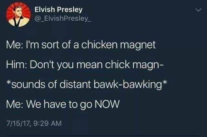 I'm Sort Of A Chicken Magnet