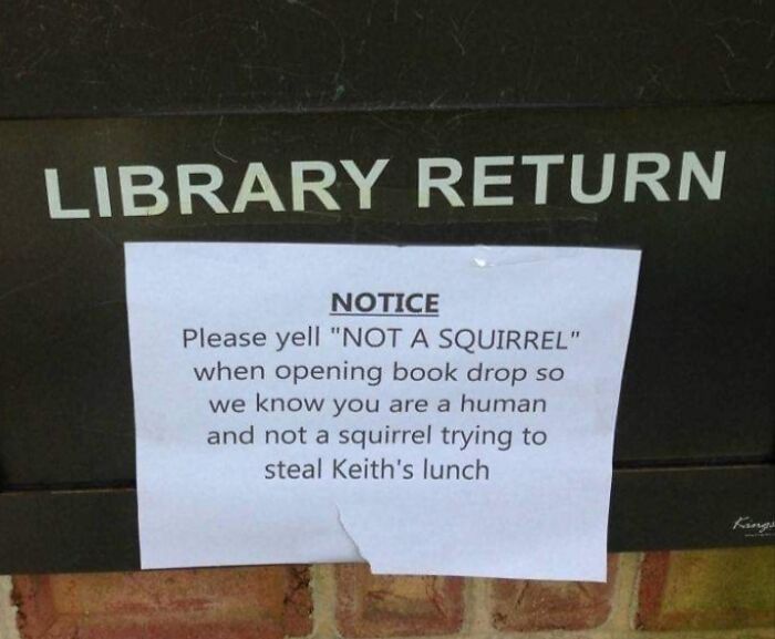 Not A Squirrel