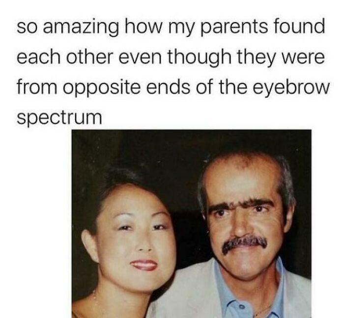 The Eyebrow Spectrum