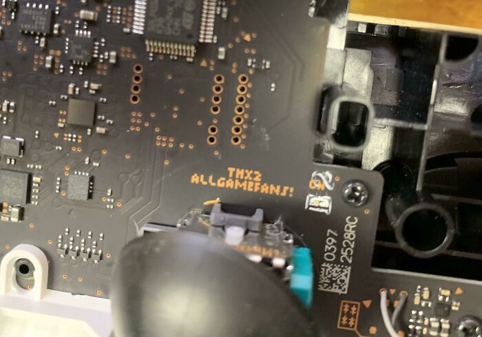 Found On The Inside Of A Nintendo Switch Pro Controller