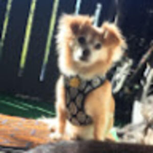 jacejohnson_1 avatar