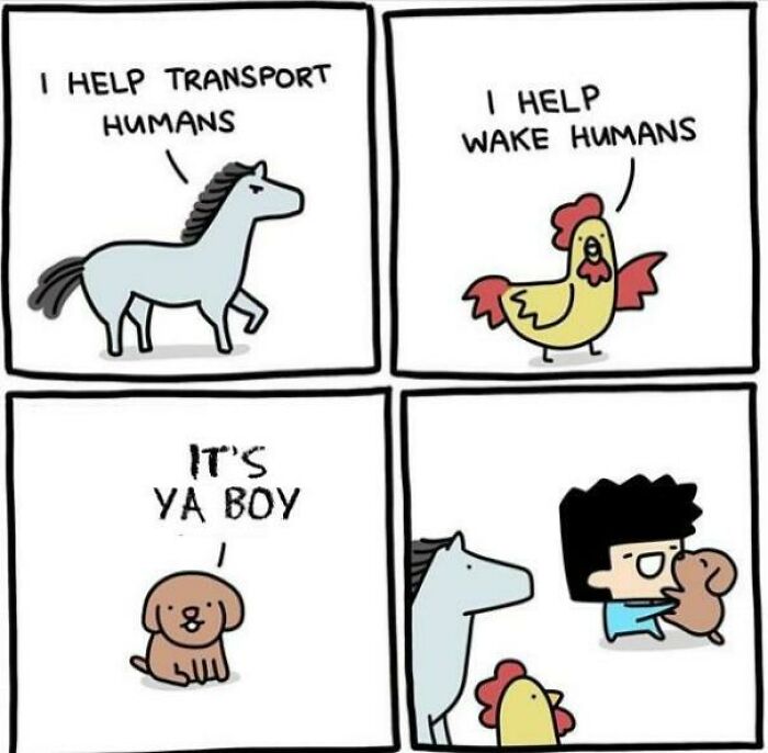 Dog-Owner-Memes