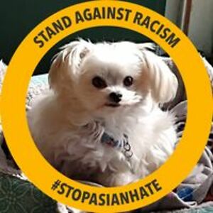 cvanbennekom12 avatar