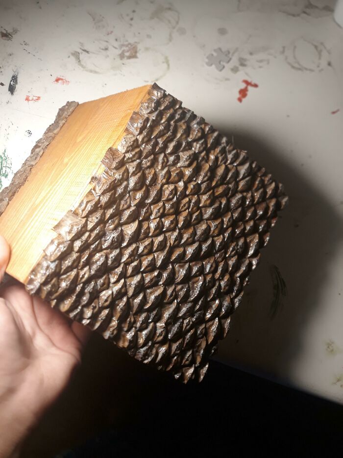 Pine Cone Shingled Roof For A Bird House I'm Working On