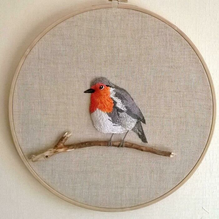 My Little Robin! What Do You Think, Do You Like It Too?