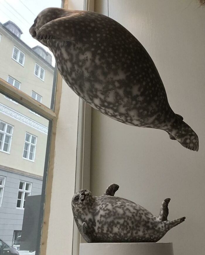 Chubby Seals Crafted In Ceramics By My Mom