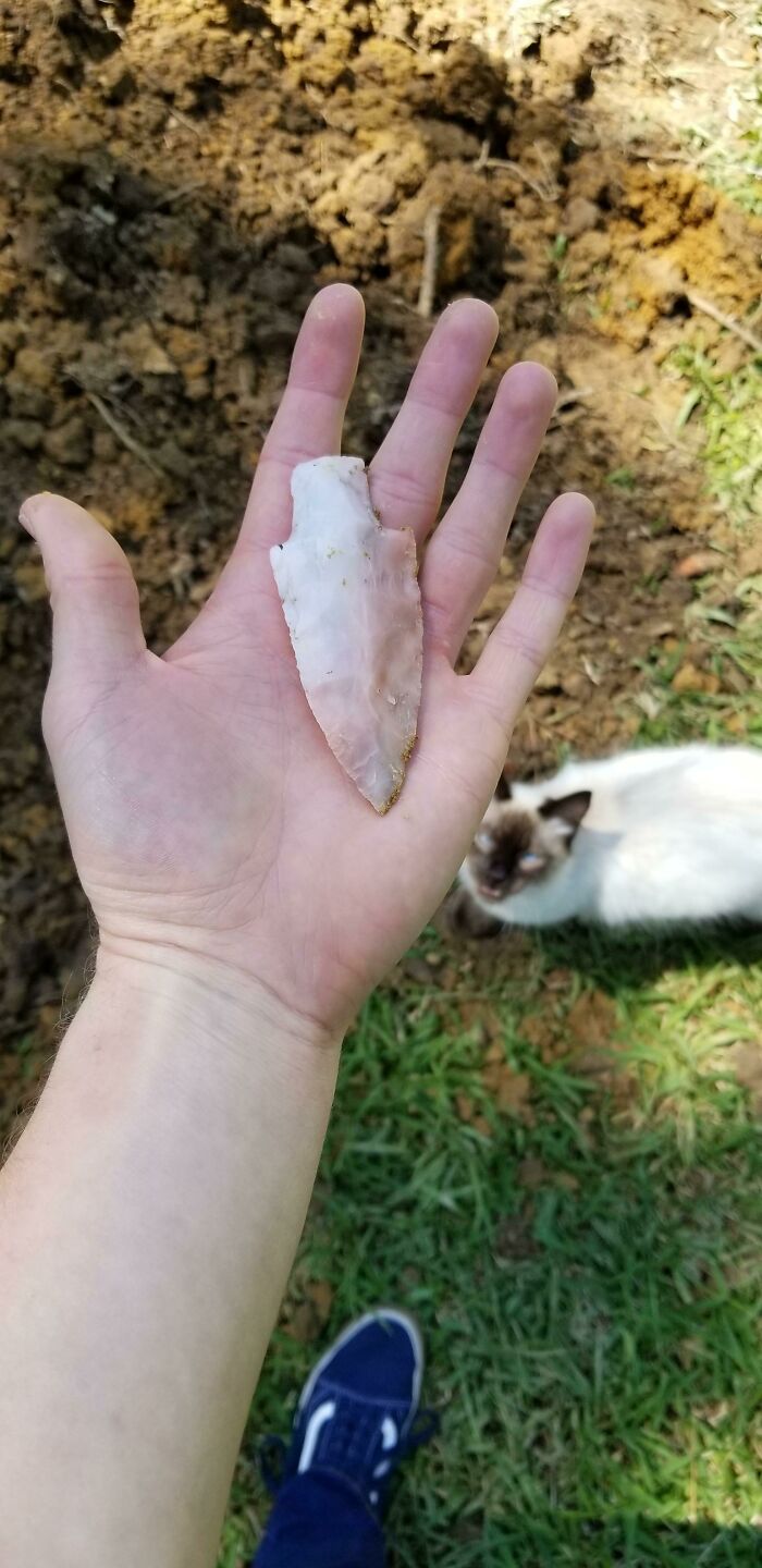 Found This Arrowhead While Digging A Hole In My Backyard