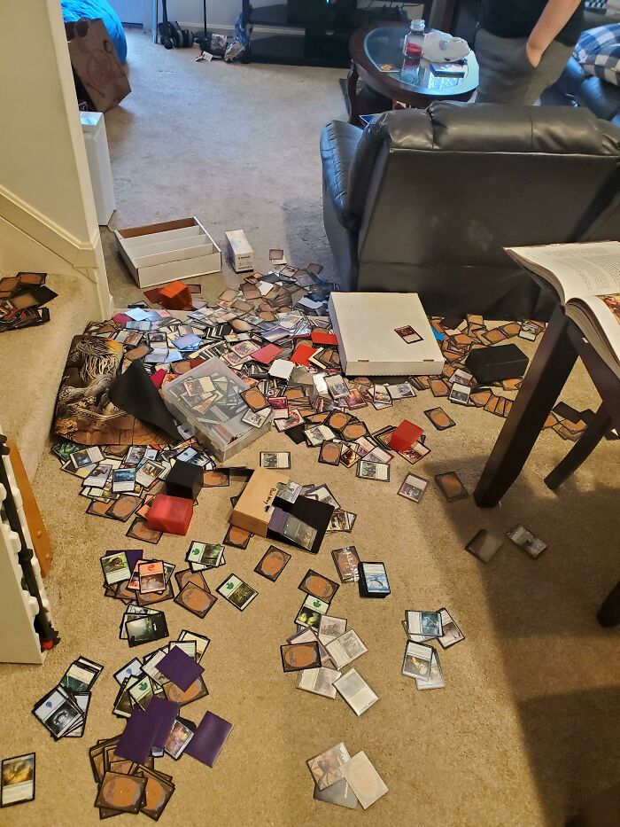 Finished Sorting My Cards! And Then I Fell