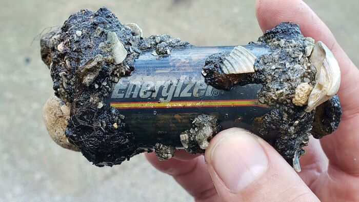 Found This Battery At The Beach That Collected Minerals And Debris At The Ends