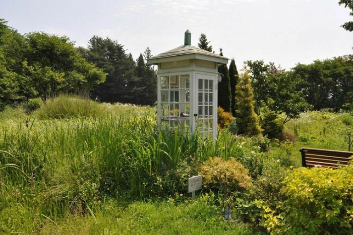 En la ciudad de Otsuchi, en el noreste de Japón, hay una cabina telefónica conocida como el "teléfono del viento" en una colina con vistas al océano. No está conectada a ninguna parte, pero la gente viene a "llamar" a los familiares perdidos durante el terremoto y el tsunami de 2011
