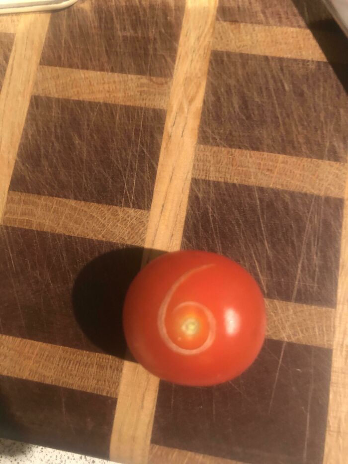 My Cherry Tomato Turned Over An Had A Naturally Made Number On It