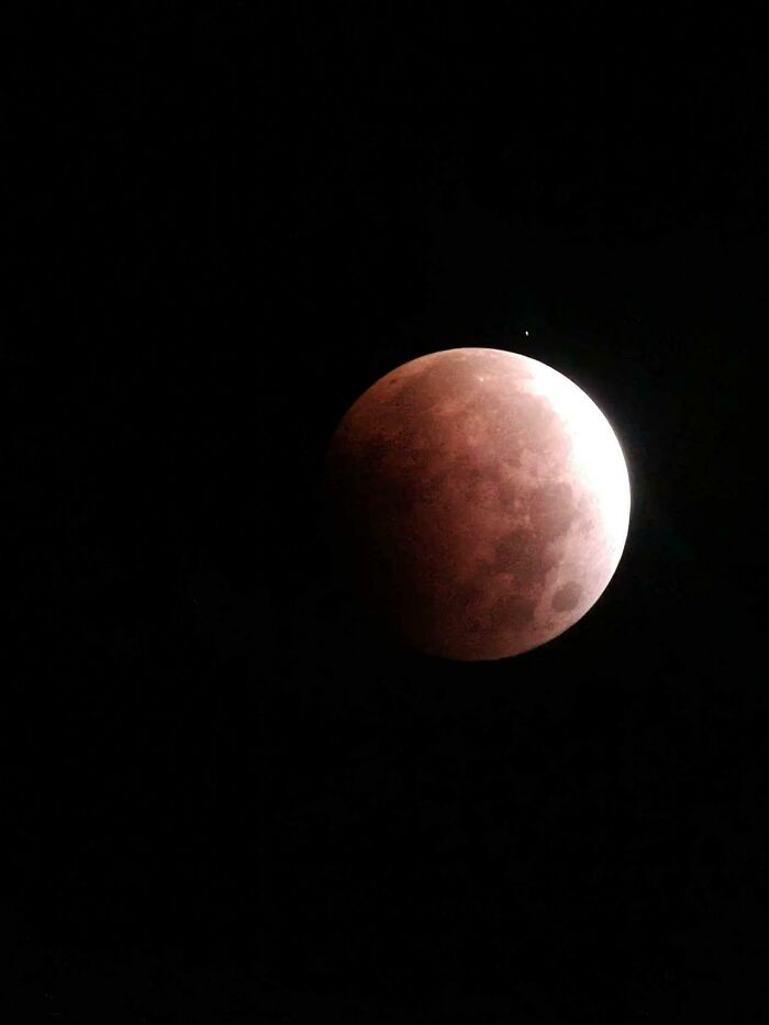 Took This Pic Of The Blood Moon Australia Is Currently Experiencing