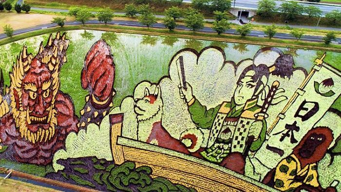 Esto es un arrozal. Los agricultores de Japón plantan especies de arroz específicas para hacer estas increíbles obras de arte