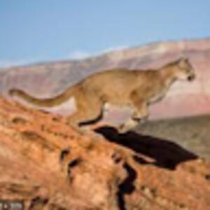 christineoliviagodby avatar