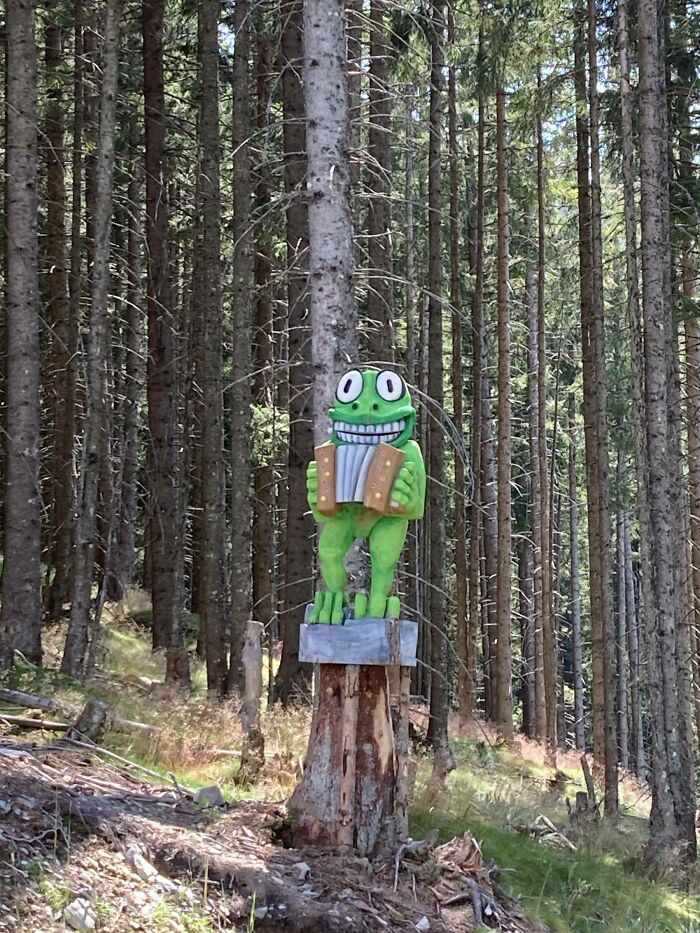 Esta estatua de rana en el bosque