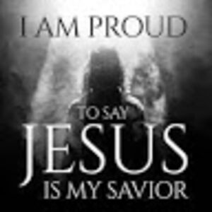 mandanarahimifard avatar