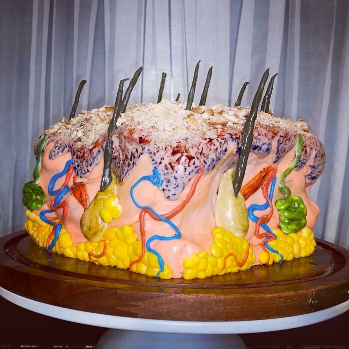 The “Skin” Cake I Made To Celebrate The Beginning Of Dermatology Residency. Everyone Thought It Was Delicious