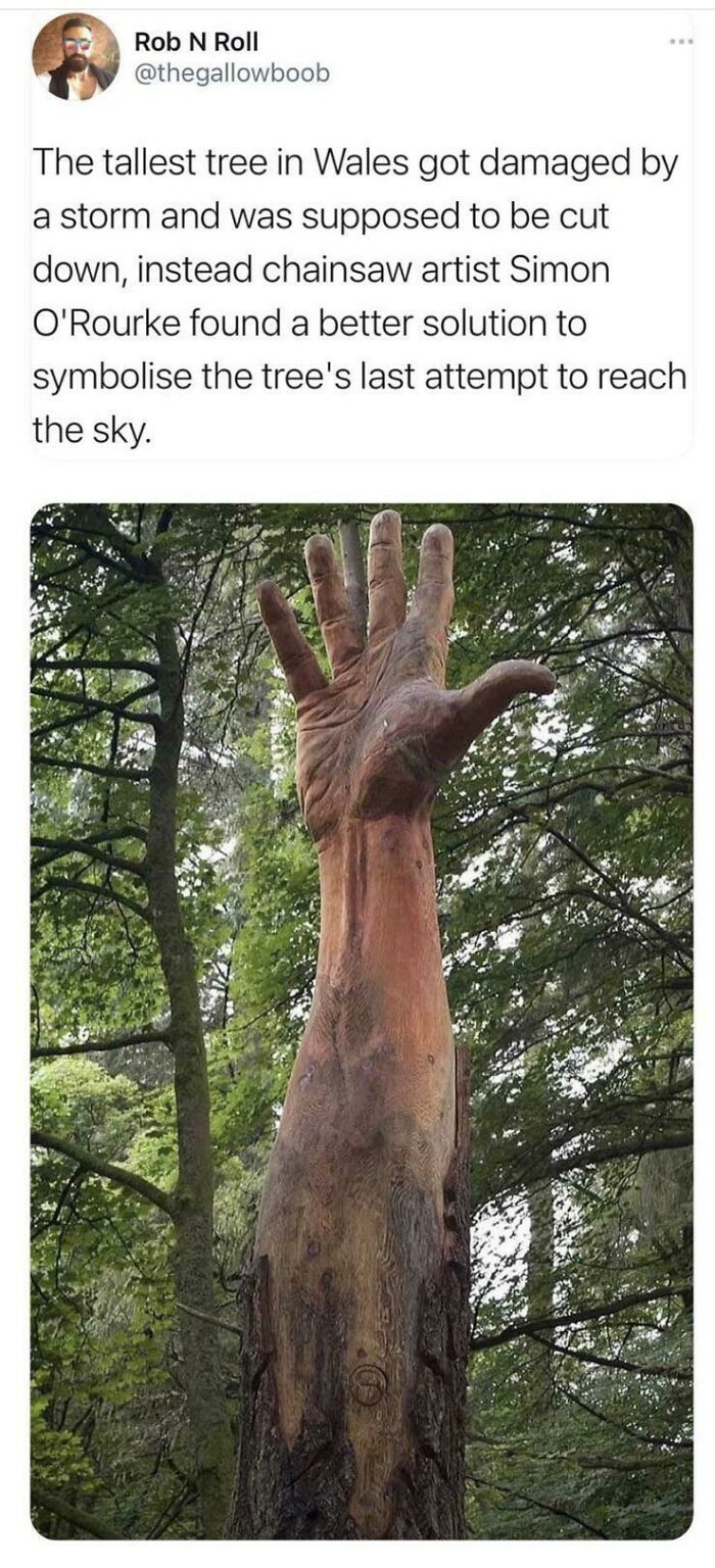 Giant Hand In Forest