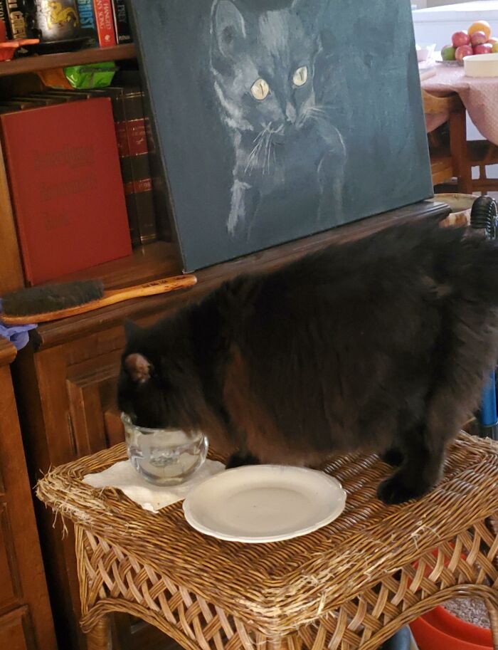 My Parent's Ridiculously Spoiled Cat Who Drinks Water Out Of Crystal On A Shrine With A Portrait Of Her