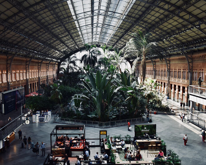 Jardín botánico en la estación de tren de Atocha en Madrid