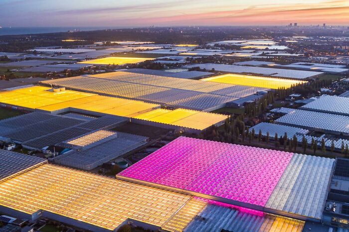 Glowing Greenhouses In The Netherlands. Photo By George Steinmetz