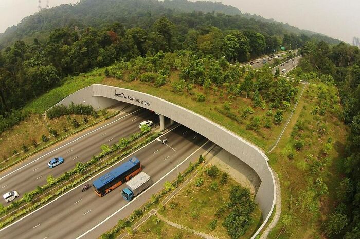 Eco-Link Over The Bukit Timah Expressway In Singapore