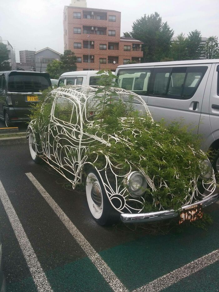 Car Filled With Nature, In A Parking Lot In Tokyo
