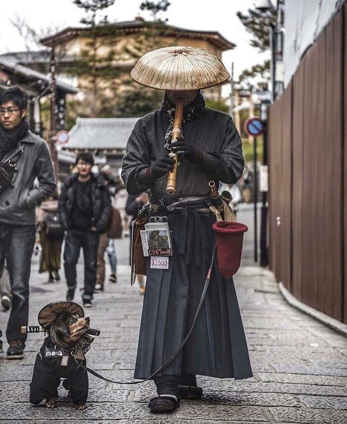 En algún lugar de Kioto, Japón, hay un hombre y su perro. Él toca la flauta, el perro es lindo, y así es como ganan algo de dinero