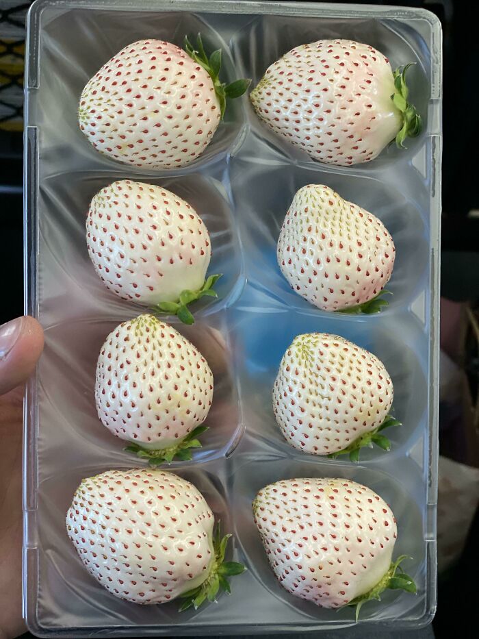 These White Strawberries From Japan