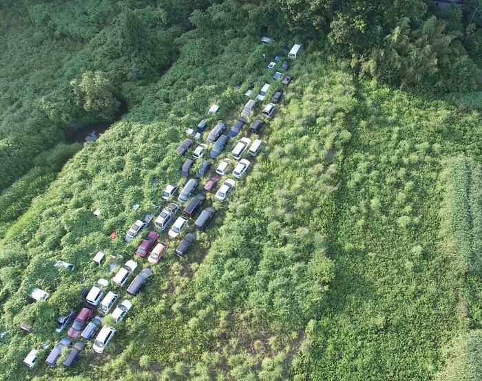Abandoned Cars Slowly Getting Overtaken By Nature In The Fukushima Exclusion Zone After The Nuclear Incident In 2011
