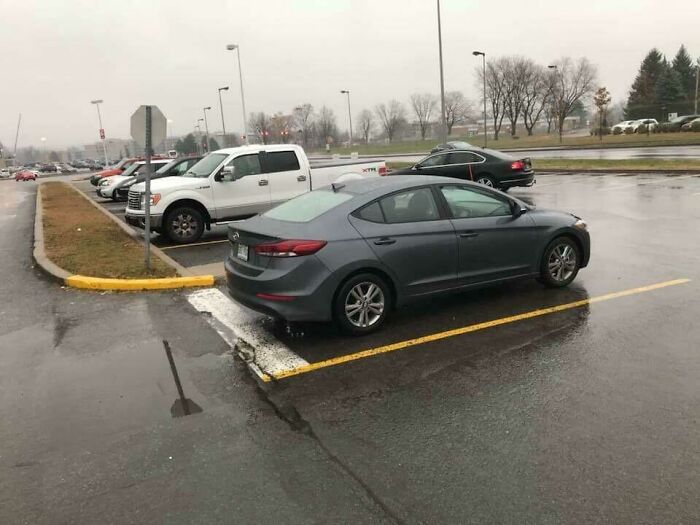 How Stupid Do You Have To Be To Park There?