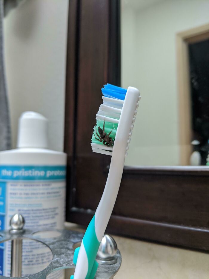 Fui a cepillarme los dientes esta mañana cuando...