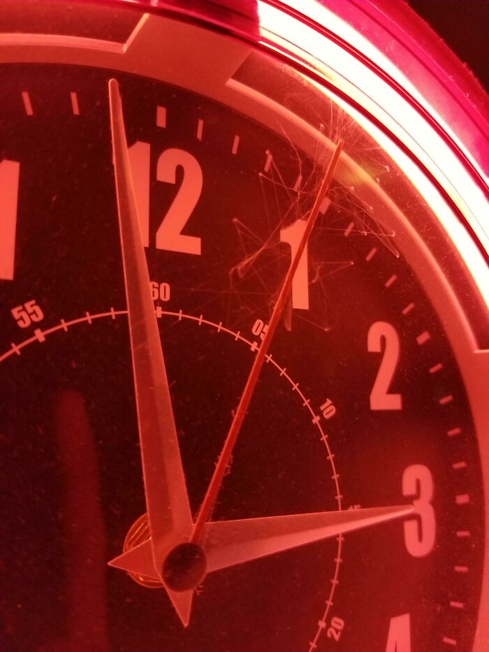 A Spider Crawled Into Our Clock In The Middle Of The Night And Stopped Time!