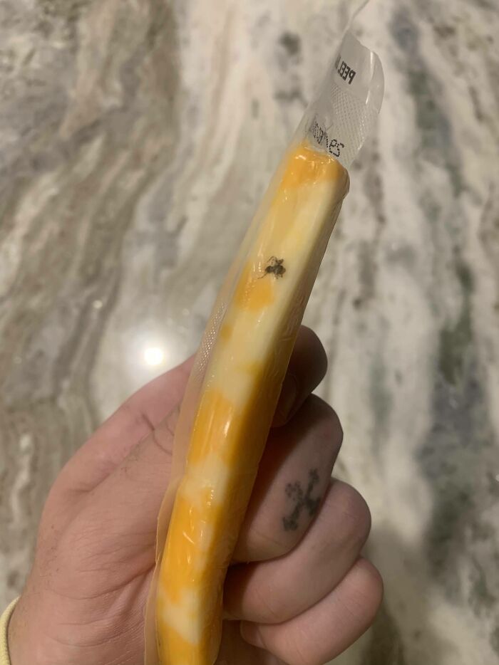 My Cheese Has A Spider Smushed In It