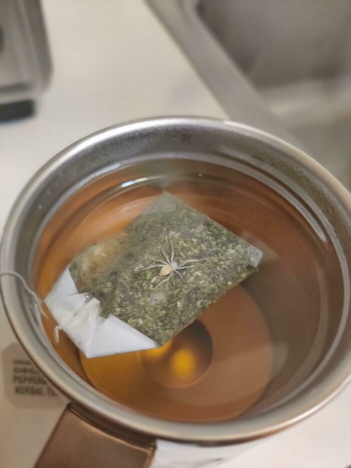 Went To Go Take A Sip Of My Tea...