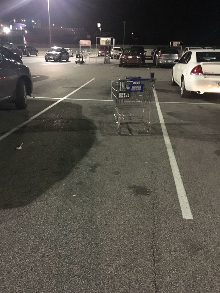 People Who Do This With Their Shopping Carts