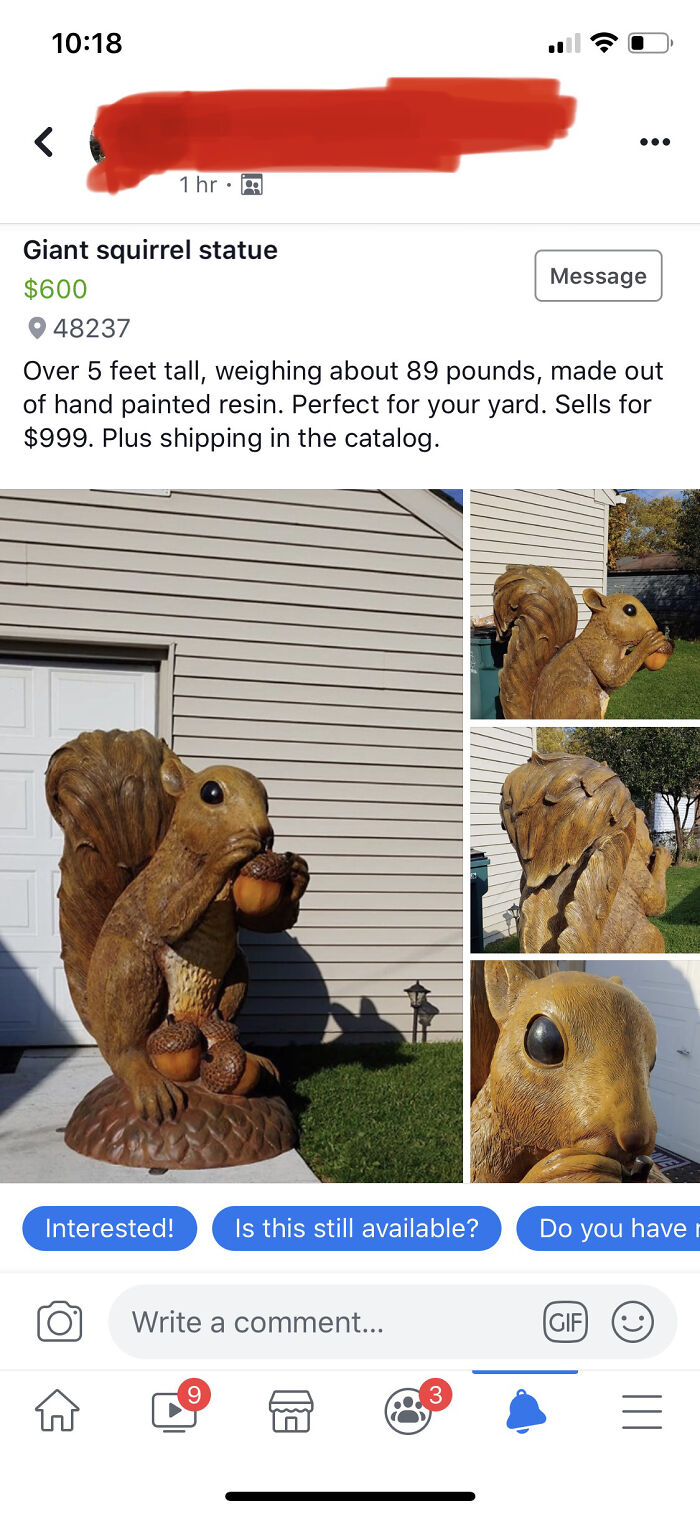 Just In Case Anyone Is In The Market For A 5-Foot Squirrel