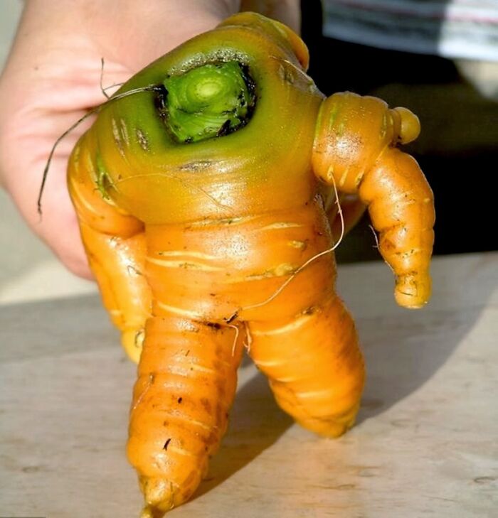 Esta zanahoria quiere ser astronauta