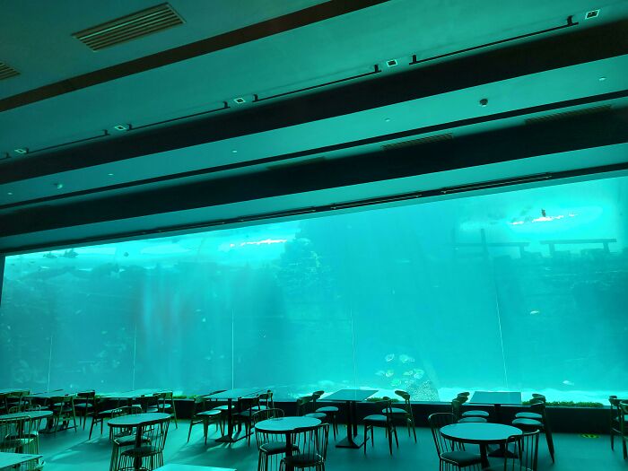 Restaurante vacío en el Aquarium, me produce tristeza