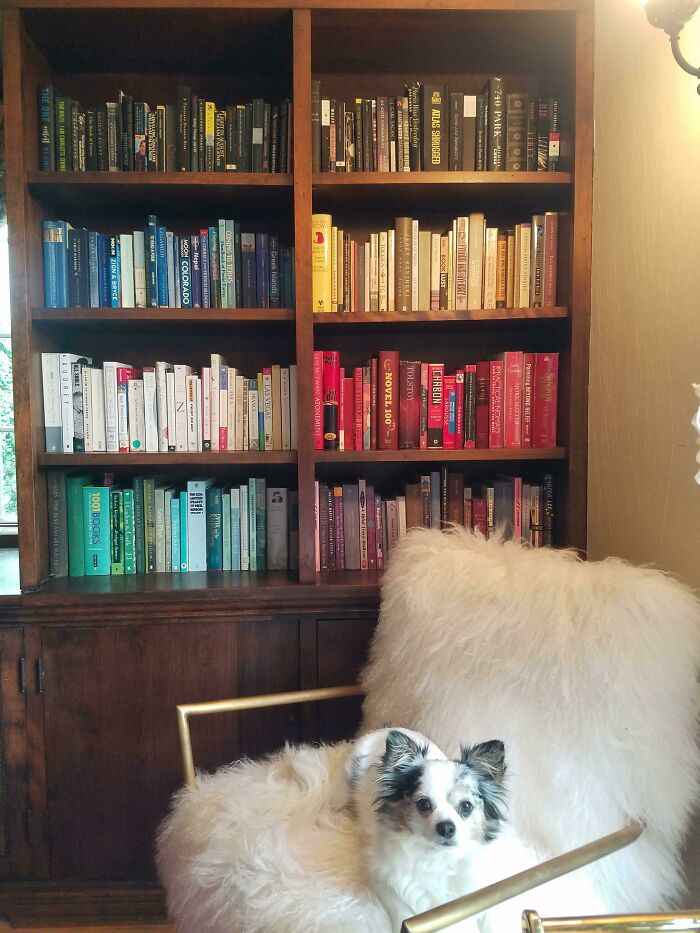 I Organized This Bookshelf