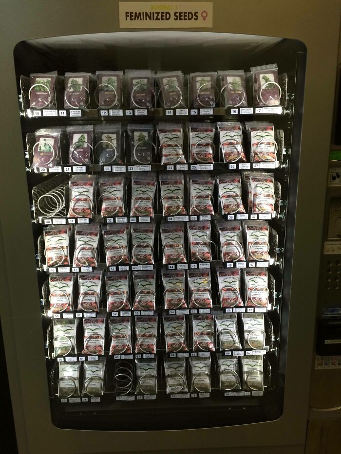 A Seed Vending Machine In Vienna