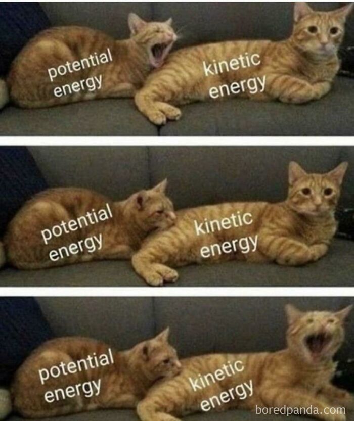 Energy Explained By Cats