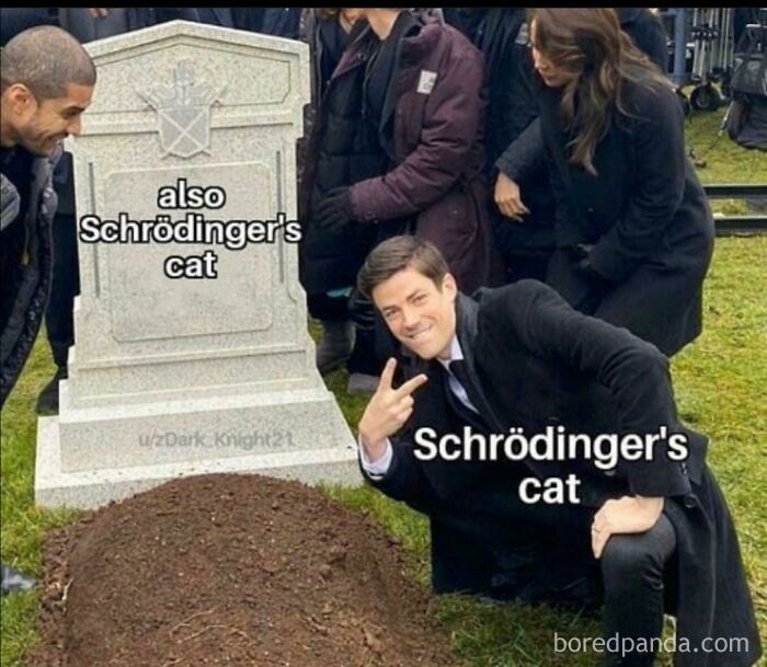 Nice One Schrödinger