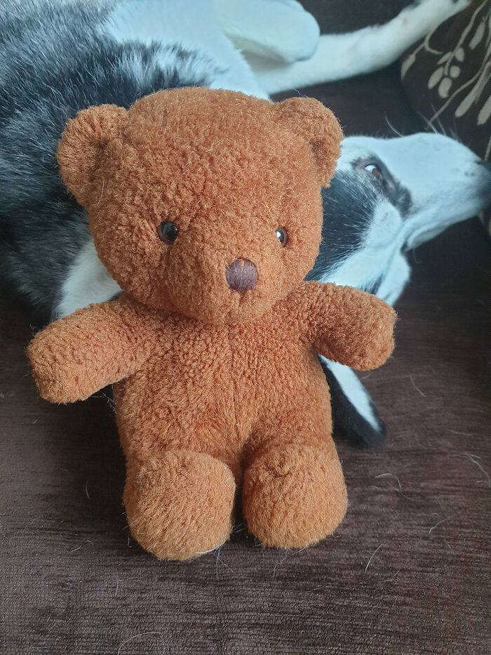 A Teddy That Belonged To My Mother And Aunt